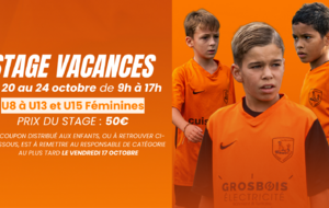 STAGE VACANCES